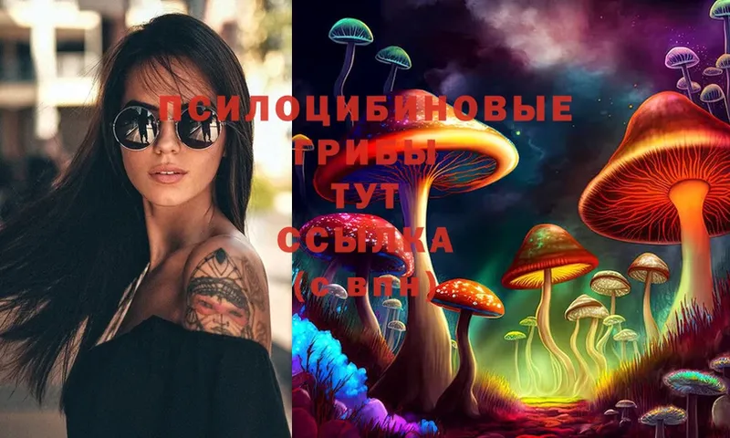 Галлюциногенные грибы Psilocybine cubensis  Лобня 